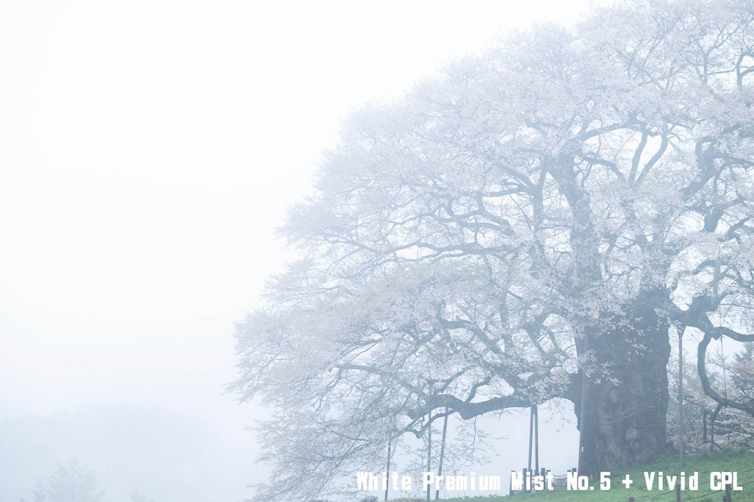 [With Frame] KANI White Premium Mist No.1 100x100mm